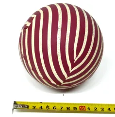 Pelota pulpito Nº 5 -diam 12,5cm