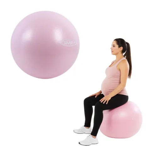 PELOTA 65 CM soporta 800 KG profesional - c/inflador - ROSA