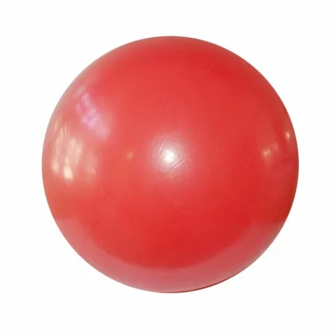 Pelota 24 cm fitness - ROJA