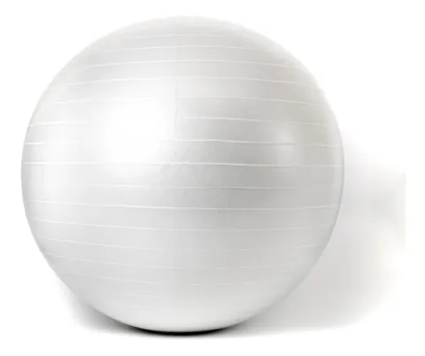 Pelota de esferodinamia 65 cm importada