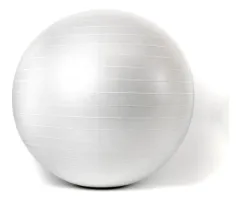 Pelota de esferodinamia 65 cm importada